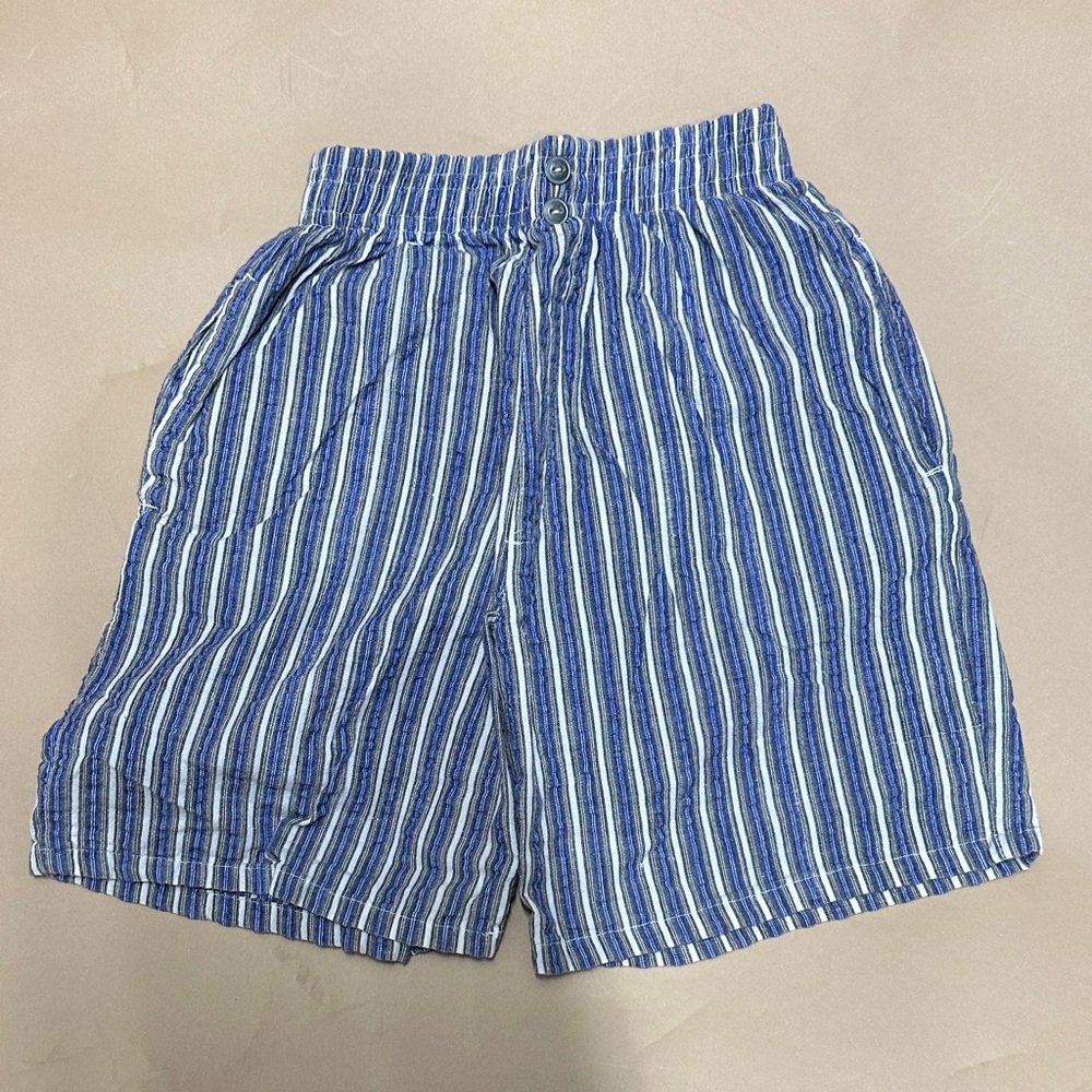 Vintage Blue and White Striped Shorts